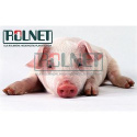 PIG ZYME dodatek enzymatyczny na przyrosty trzody, 10 kg