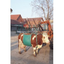Podnośnik temblakowy dla bydła, 1000 kg