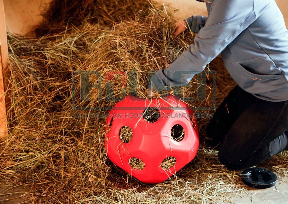 Piłka do zabawy dla koni HeuBoy, 40 cm fioletowy