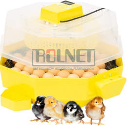 Inkubator do jaj iBator Home AUTO z silnikiem, automatyczny obrót jaj