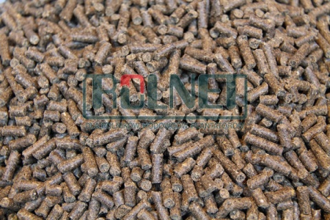 Pasza dla królików mięsnych