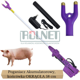 Poganiacz elektryczny do świń