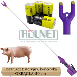 Poganiacz bateryjny do świń