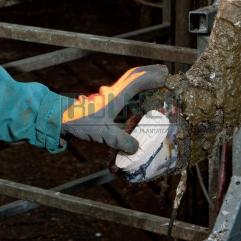 Sposób użycia zestawu do leczenia racic Technobase 8000 przyklejanie bloczka