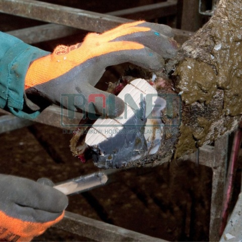 Sposób użycia zestawu do leczenia racic Technobase 8000 wykańczanie