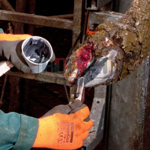 Sposób użycia zestawu do leczenia racic Technobase 8000 poprawki