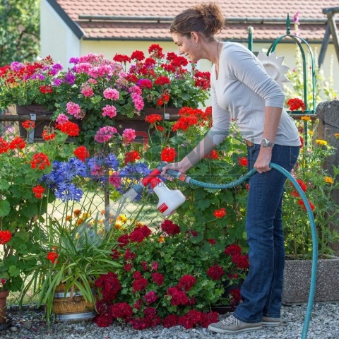 Aquamix 1.25 V Birchmeier – dozownik do kwiatów