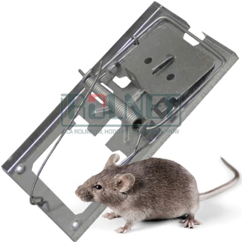 Łapka na myszy metalowa – odporna na warunki atmosferyczne, idealna na zewnątrz