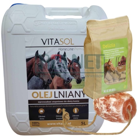Olej Lniany dla koni + lizawka himalajska + przysmak dla koni 1kg