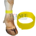 Opaska do znakowania bydła na rzep, ŻÓŁTA 36 cm