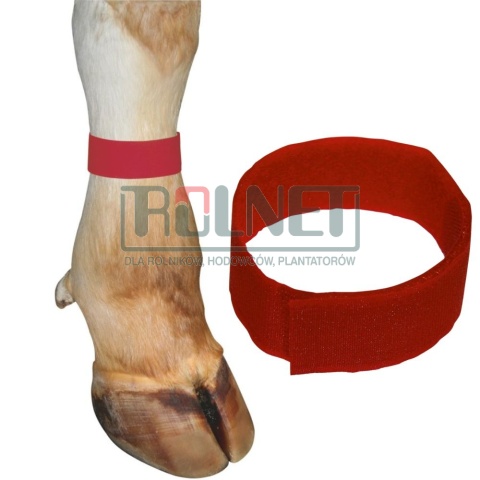 Opaska do znakowania bydła na rzep CZERWONA, 36 cm