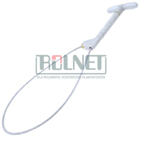 Pętla poskromu Kort