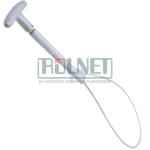 Pętla poskromu „Kort” do prowadzenia knurów – długość 57 cm, linka 5 mm