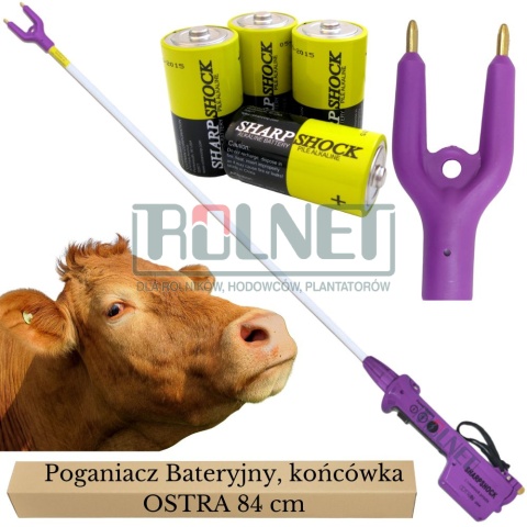Poganiacz bateryjny do bydła