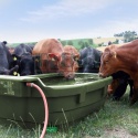 Water Trough 1000l