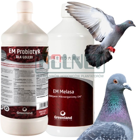 Zestaw hodowcy gołębi – EM Probiotyk 1 l + EM Melasa trzcinowa 1 l, efektywne organizmy, odporność i kondycja ptaków