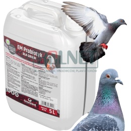 EM Probiotyk dla gołębi 5 l – odporność, kondycja i zdrowie ptaków ozdobnych