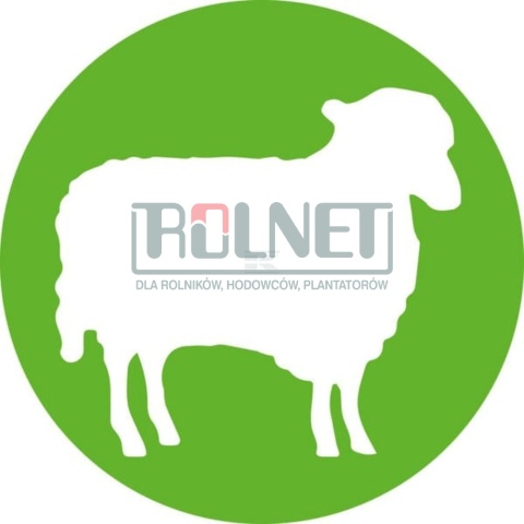 Igły dla owiec jednorazowe