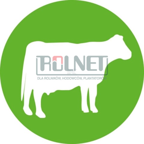 Igły jednorazowe dla bydła