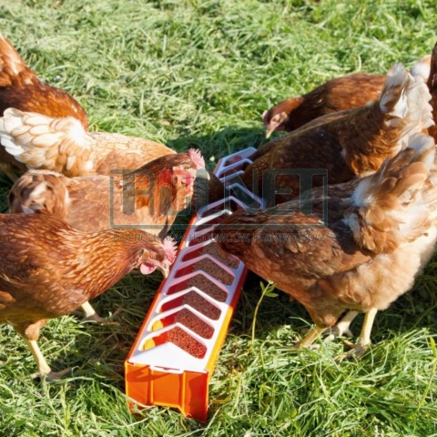 Koryto dla drobiu, 75x12 cm