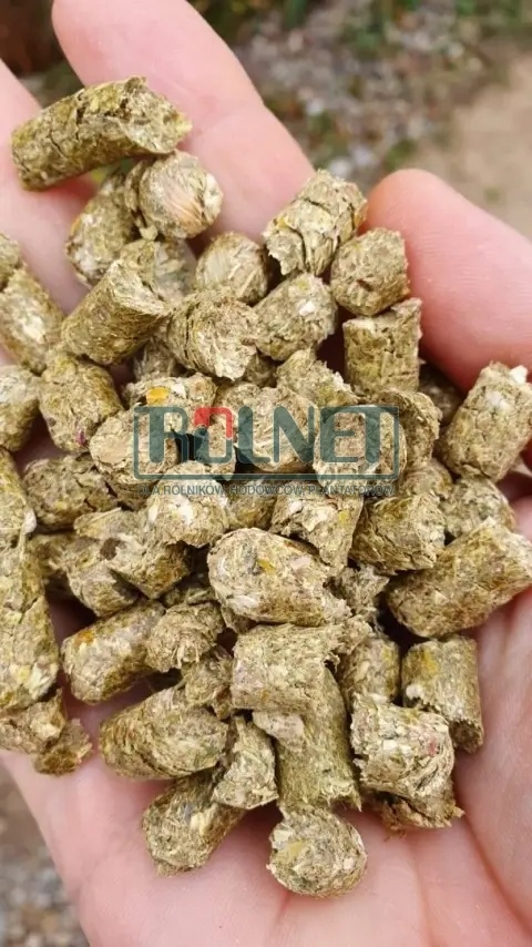 MaisCobs pellet z całej kolby kukurydzy, pasza dla koni