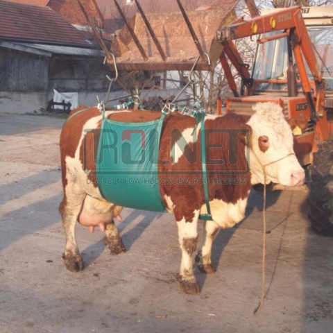 Podnośnik temblakowy, Przyrząd do podnoszenia krów, podnośnik dla krów,  Daisy Lifter, Kerbl