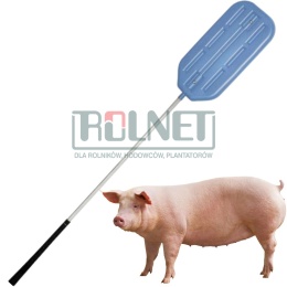 Poganiacz Wiosło dla zwierząt grzechotka.