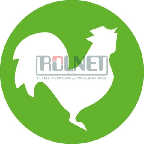 Igły jednorazowe dla drobiu