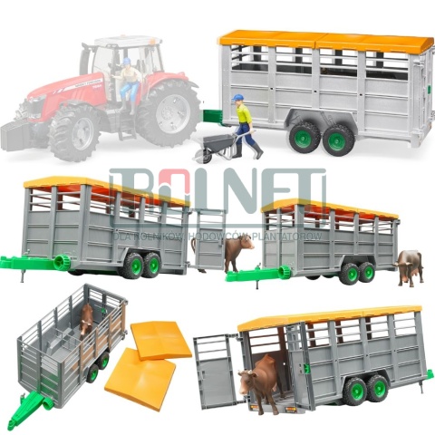 Przyczepa do transportu bydła + 1 krowa