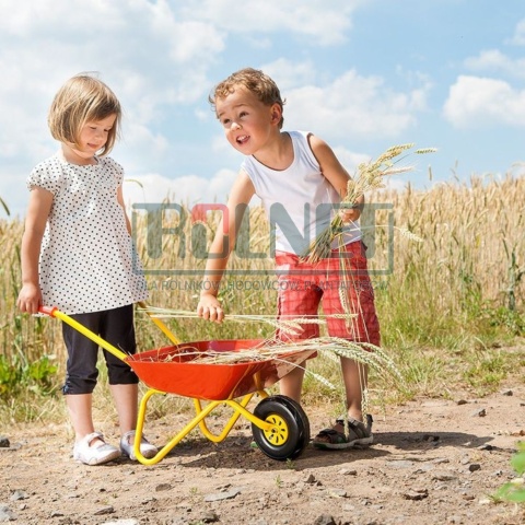 Taczka metalowa dla dzieci Rolly Toys czerwona 80 cm zabawka ogrodowa