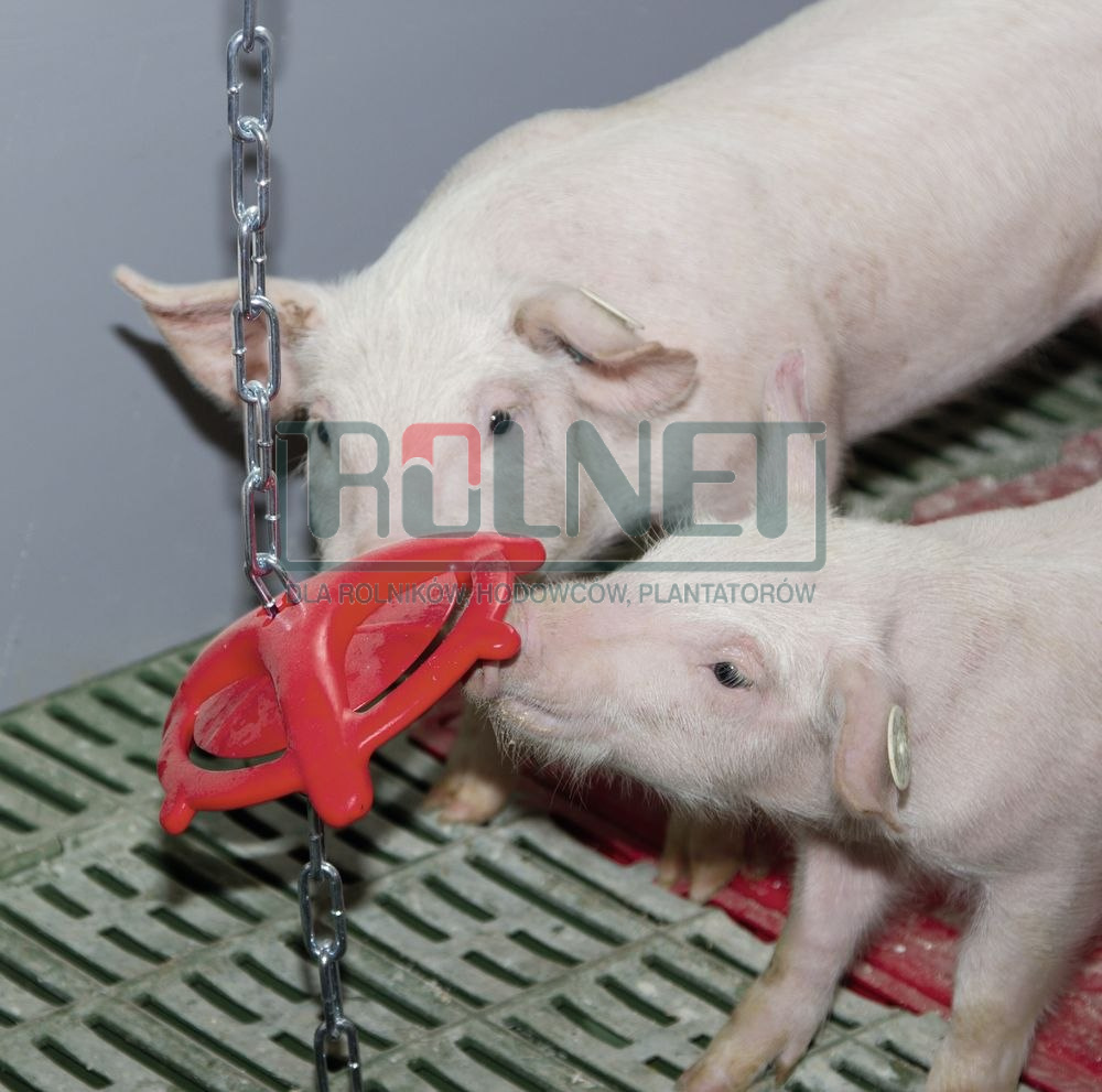 Gryzak z łańcuchem dla świń, 75 cm