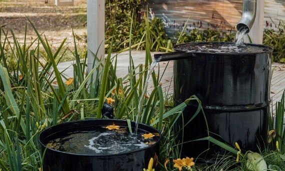 Jak zbierać deszczówkę w ogrodzie? Przegląd pojemników