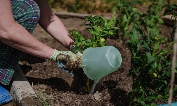 Jakie nawozy stosować wiosną, a jakie jesienią w ogrodzie?