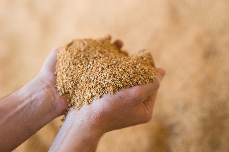 Jakie dodatki paszowe warto stosować w hodowli zwierząt?