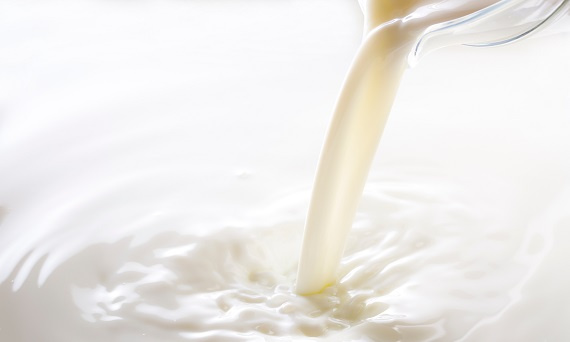 Przyczyny niskiej zawartości tłuszczu w mleku krowim